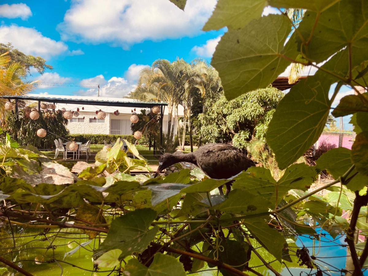 Villa Cristal Santa Elena  Exterior photo
